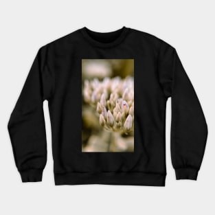 Simphony Crewneck Sweatshirt